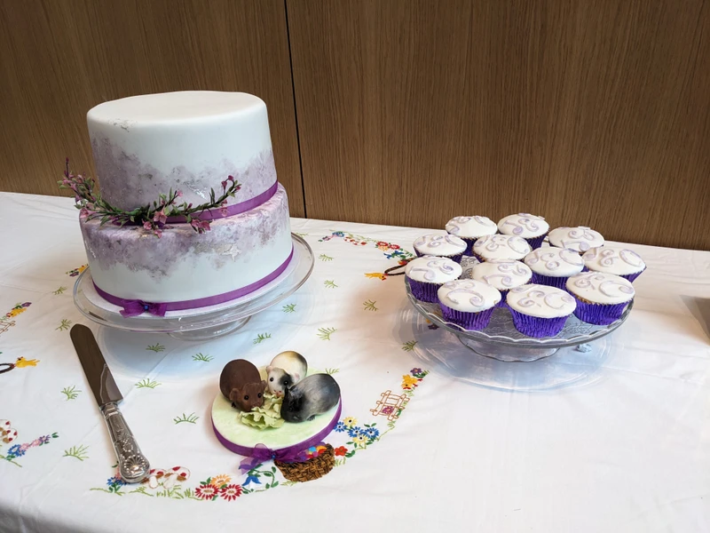 The cake, vegan cupcakes and fondant guinea pigs