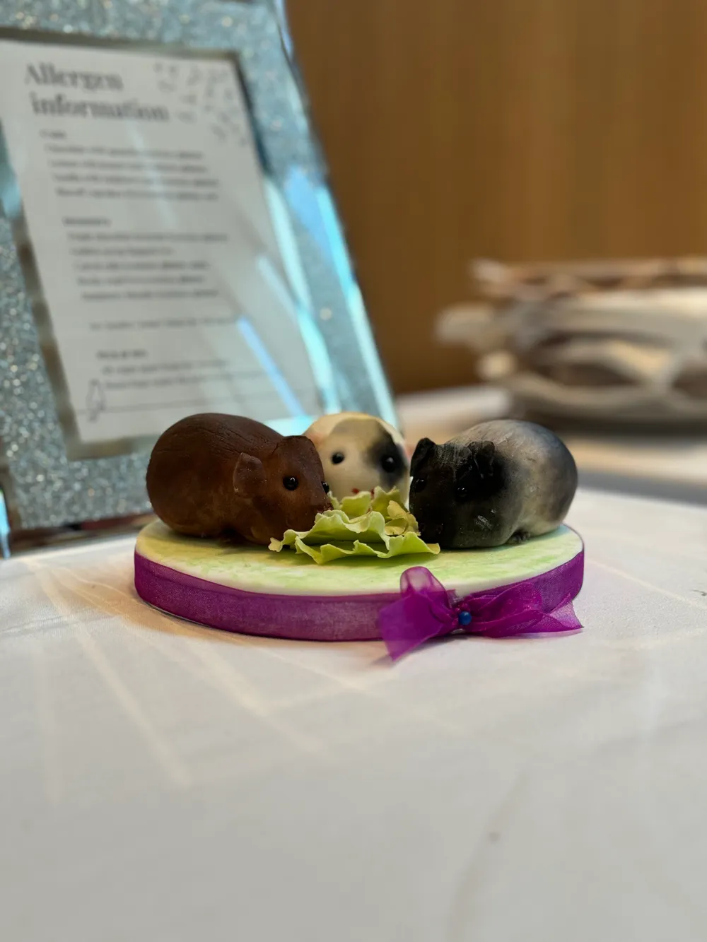 The *adorable* guinea pigs that Sandra made